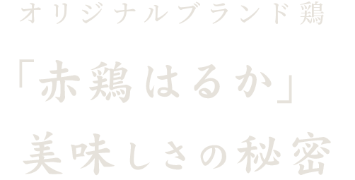 美味しさの秘密