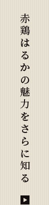 赤鶏はるかの魅力を