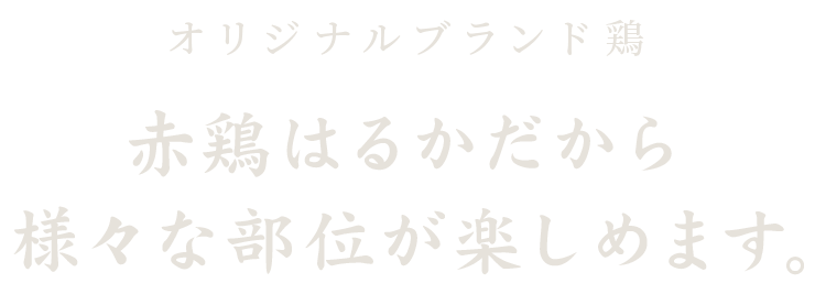 赤鶏はるか