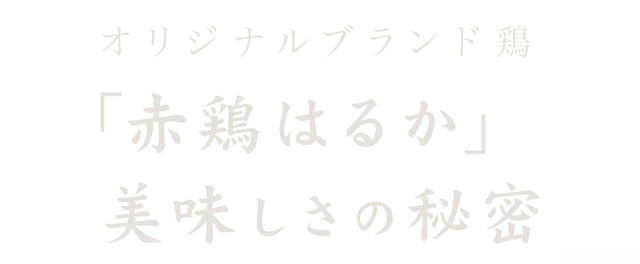 美味しさの秘密