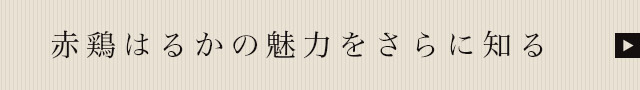 赤鶏はるかの魅力をさらに知る
