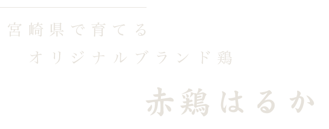 約1分の場所